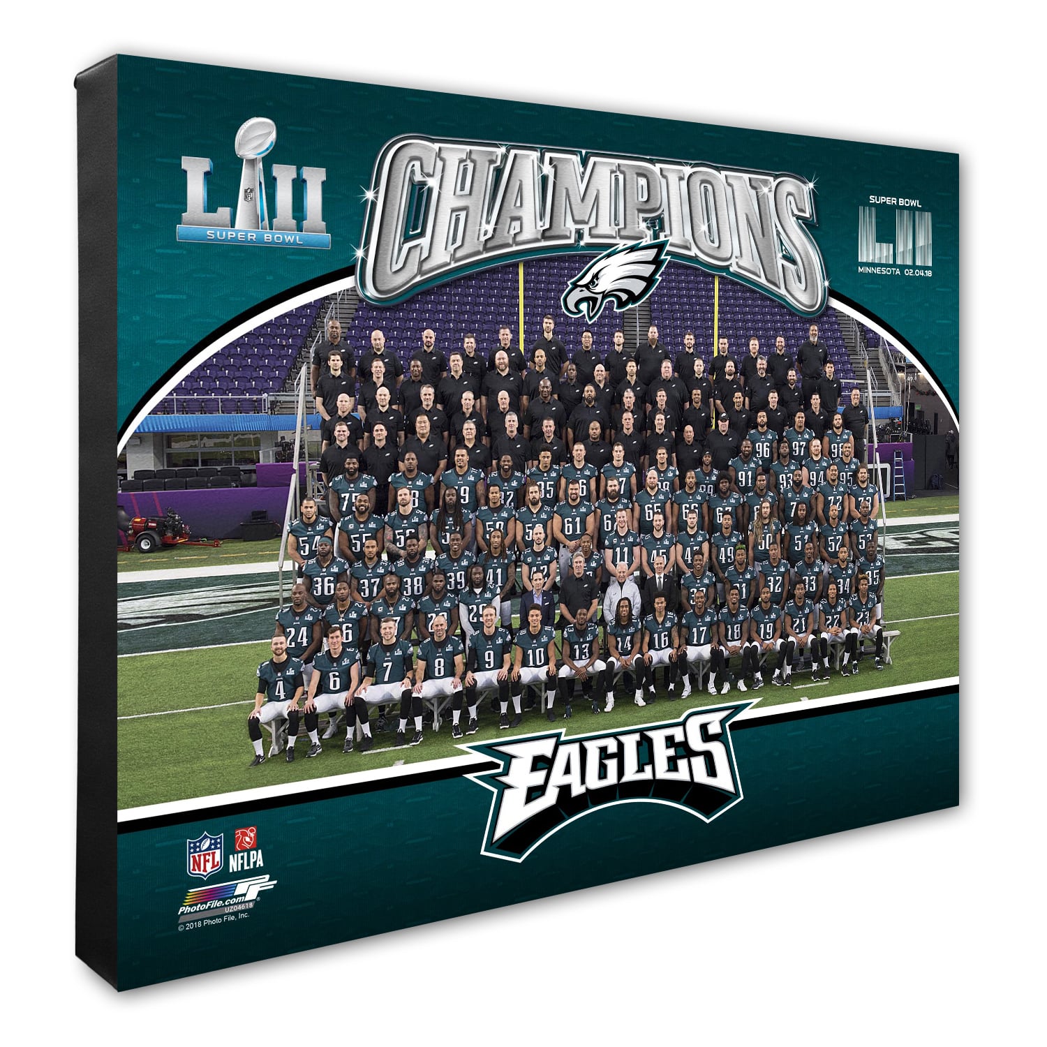 Philadelphia Eagles Super Bowl LII Champions Team Sitdown 16" x 20" Canvas