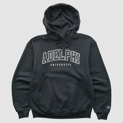 Adelphi University Panthers Champion 2000s Hooded Pullover Sweatshirt - Black - S by Fanatics Real Vintage