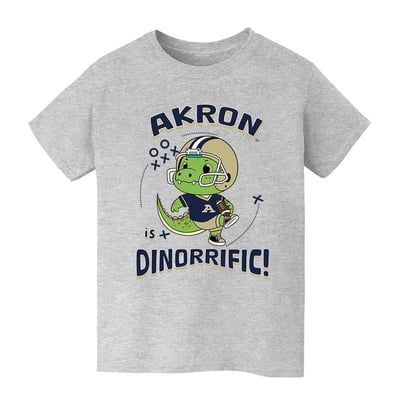 Akron Zips Vive La Fete Youth Dinorrific T-Shirt - Gray