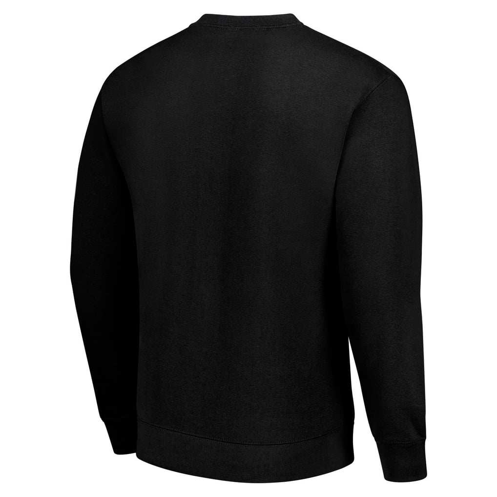  Anaheim Ducks Men's Starter Team Logo Fleece Pullover Sweatshirt - Black