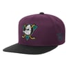 Snapbacks