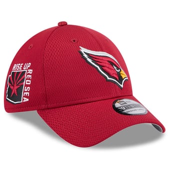 Arizona Cardinals Shop, Arizona Cardinals Apparel, Gifts, Gear ...