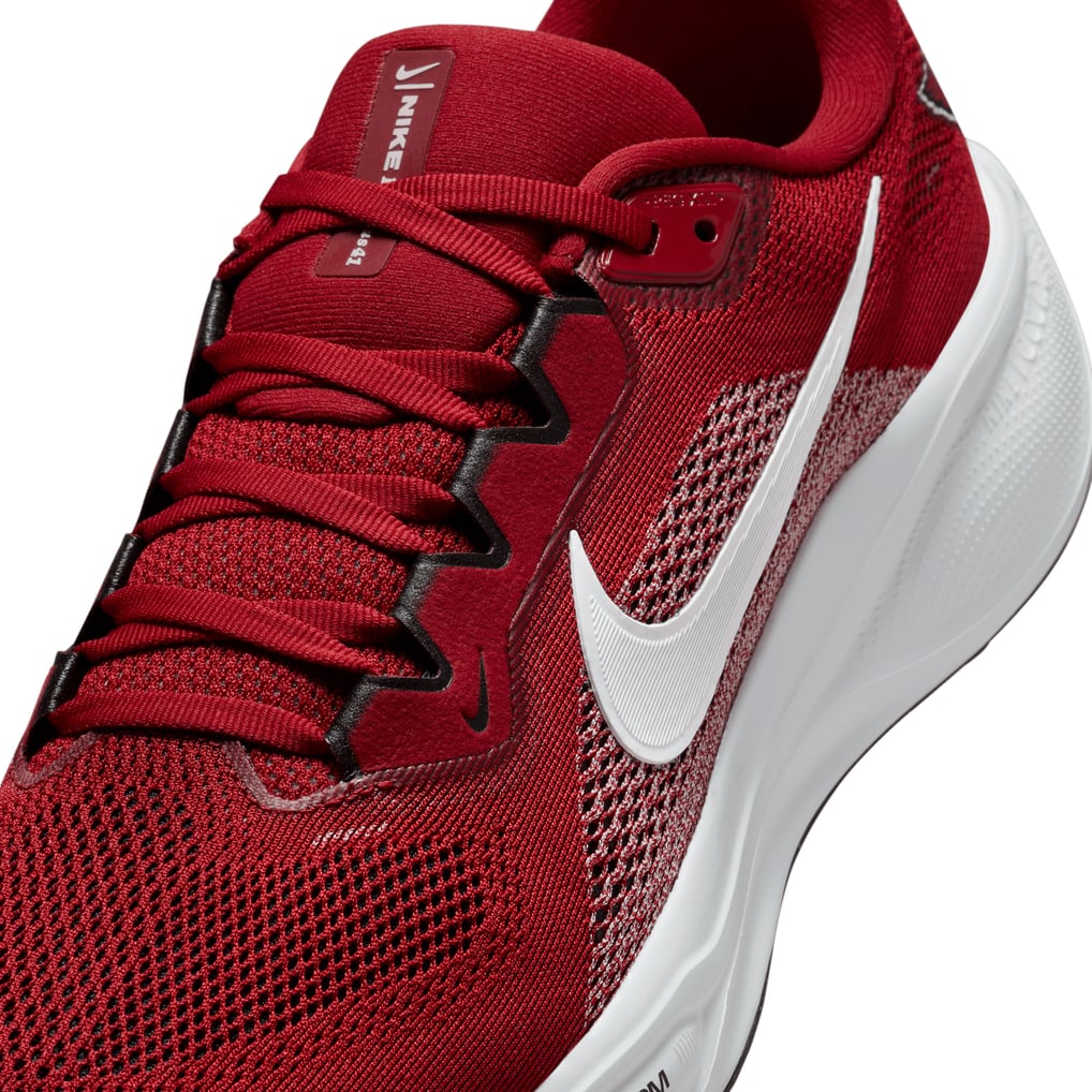 Unisex Nike Cardinal Arizona Cardinals Air Zoom Pegasus 41  display picture 1