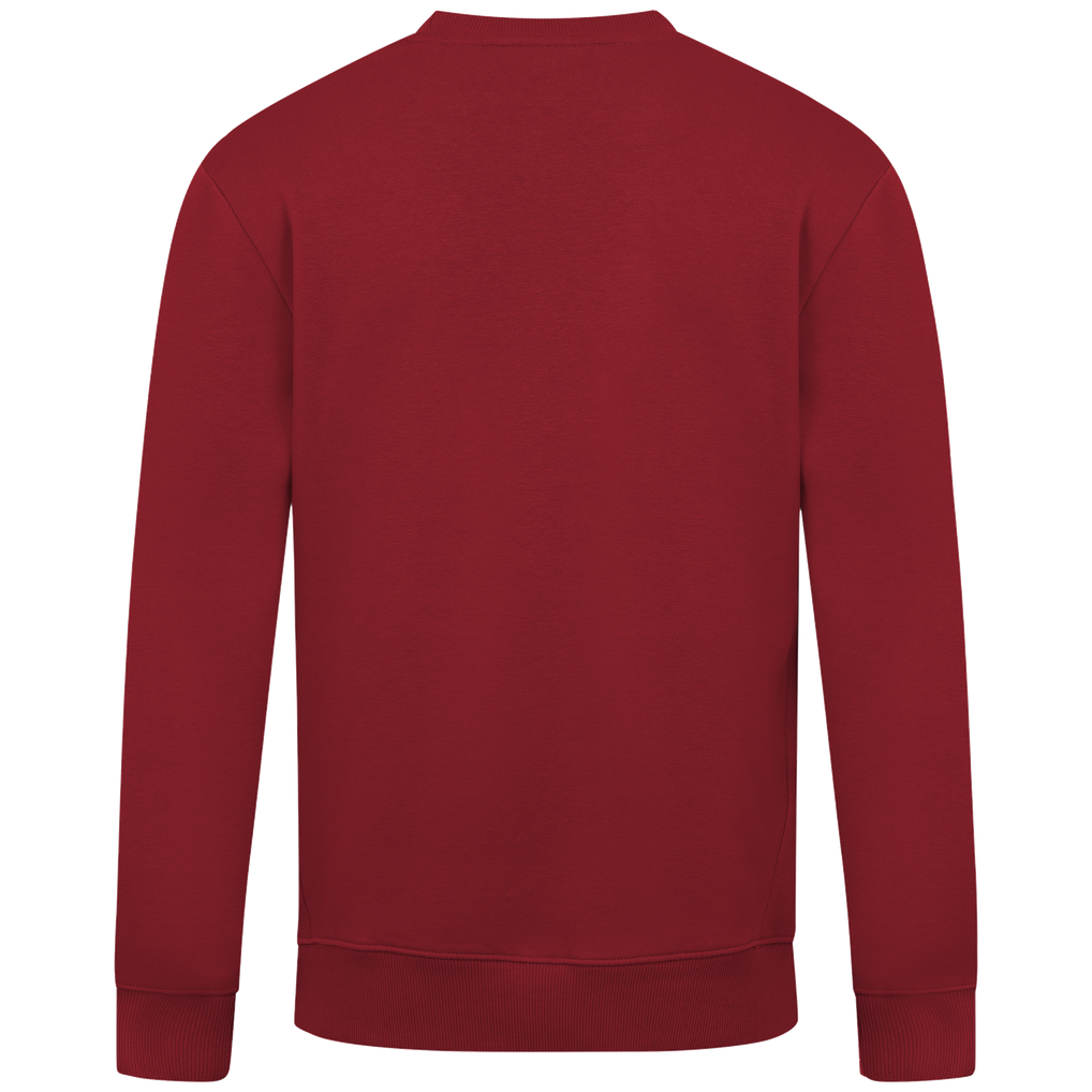 Arizona Diamondbacks Levelwear Zane Journey Sweatshirt - Red