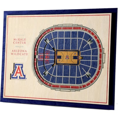 Arizona Wildcats Fanpoint 17'' x 13'' 5-Layer StadiumView 3D Wall Art