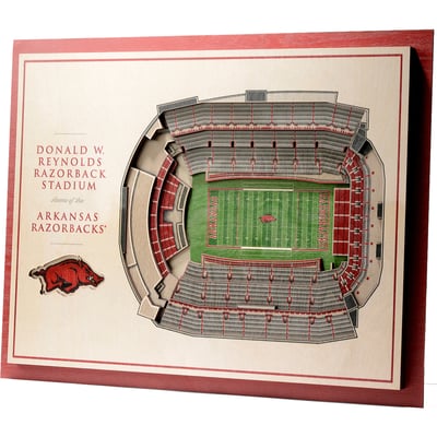 Arkansas Razorbacks Fanpoint 17'' x 13'' 5-Layer StadiumView 3D Wall Art