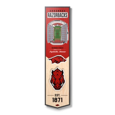 Arkansas Razorbacks Fanpoint 8'' x 32'' 3D StadiumView Banner