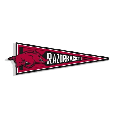 Arkansas Razorbacks IDNA 23" 3D Pennant Wall Art
