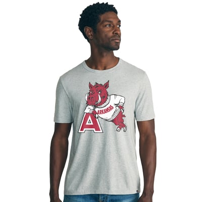 Arkansas Razorbacks FAHERTY Sunwashed T-Shirt - Heather Gray
