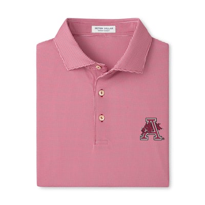  Arkansas Razorbacks Peter Millar Border Performance Jersey Polo - Cardinal