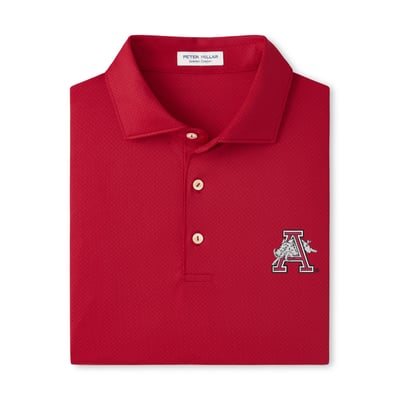  Arkansas Razorbacks Peter Millar Hugo Performance Jersey Polo - Cardinal