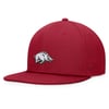Snapbacks