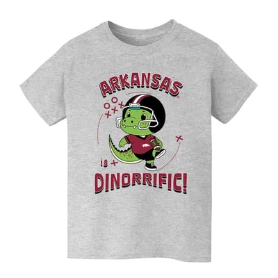 Arkansas Razorbacks Vive La Fete Youth Dinorrific T-Shirt - Gray
