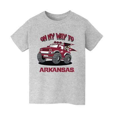 Arkansas Razorbacks Vive La Fete Youth On My Way T-Shirt - Gray