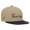 Snapbacks