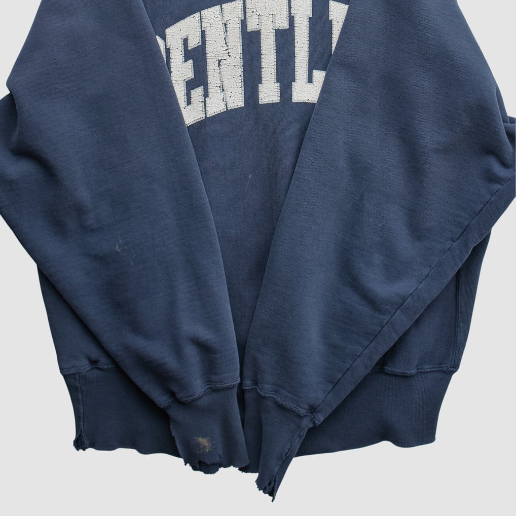 Bentley Falcons Champion 2000s Pullover Sweatshirt - Navy - M by Fanatics Real Vintage