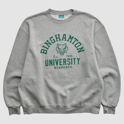 Binghamton Bearcats Champion 2010s Pullover Sweatshirt - Heather Gray - L by Fanatics Real Vintage