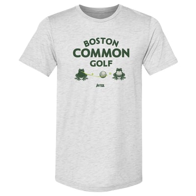 Boston Common Golf 500 Level WTGL Team Premium Tri-Blend T-Shirt - Heather Gray