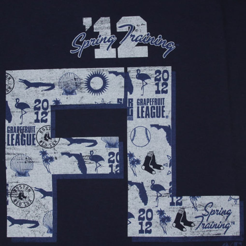 Majestic Boston Red Sox Back Stop Spring Training T-Shirt - Navy Blue