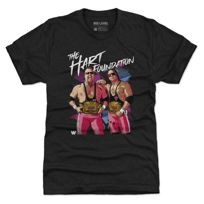 Bret Hart & Jim "The Anvil" Neidhart 500 Level The Hart Foundation Retro Premium Tri-Blend T-Shirt - Black