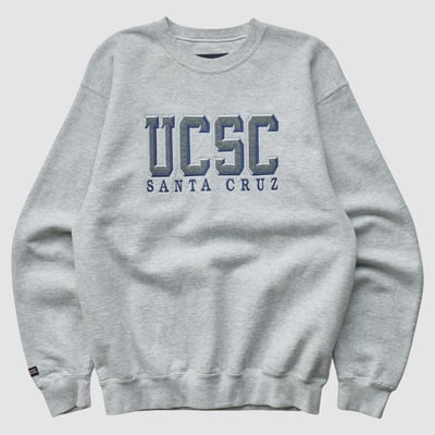 California-Santa Cruz Banana Slugs Jansport 2010s Pullover Sweatshirt - Heather Gray - XS by Fanatics Real Vintage