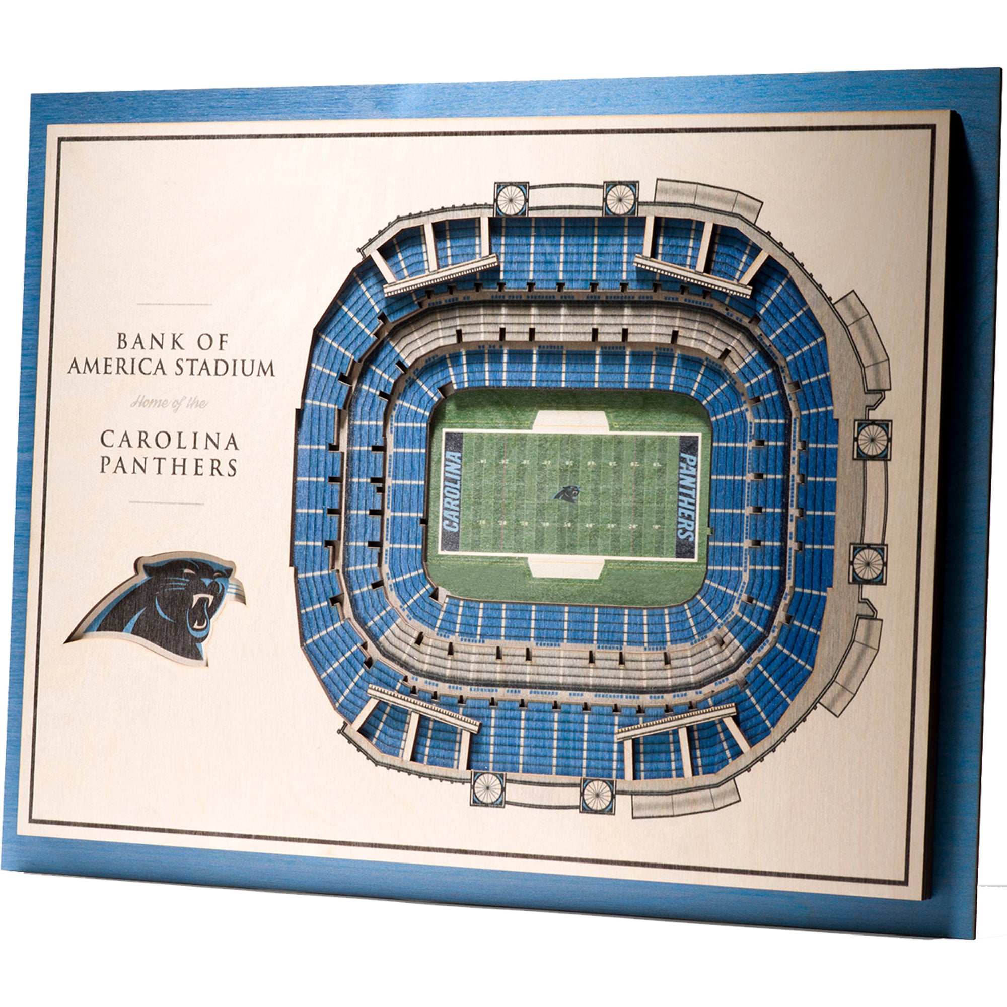 Carolina Panthers Stadium Seating Chart View Matttroy