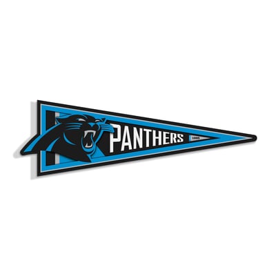 Carolina Panthers IDNA 23" 3D Pennant Wall Art