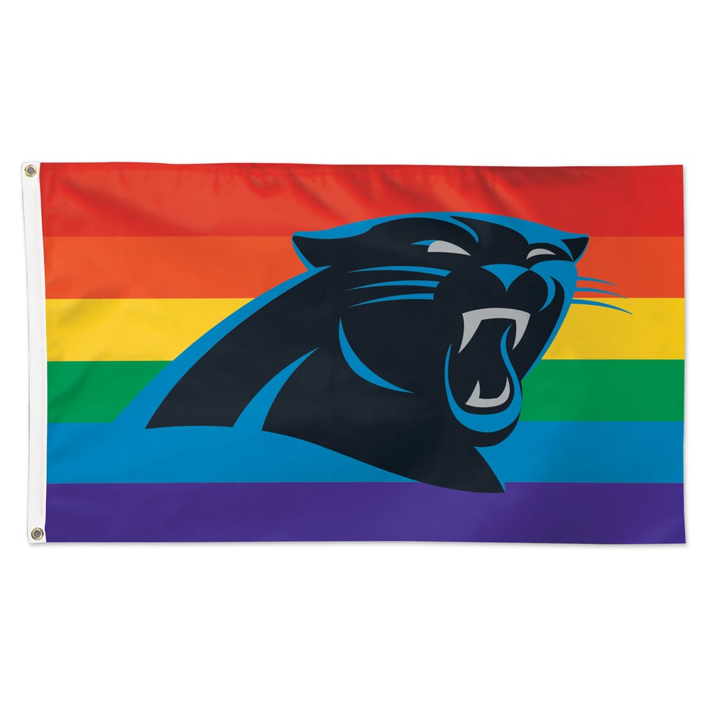 Carolina Panthers WinCraft 3' x 5' Pride 1-Sided Deluxe Flag