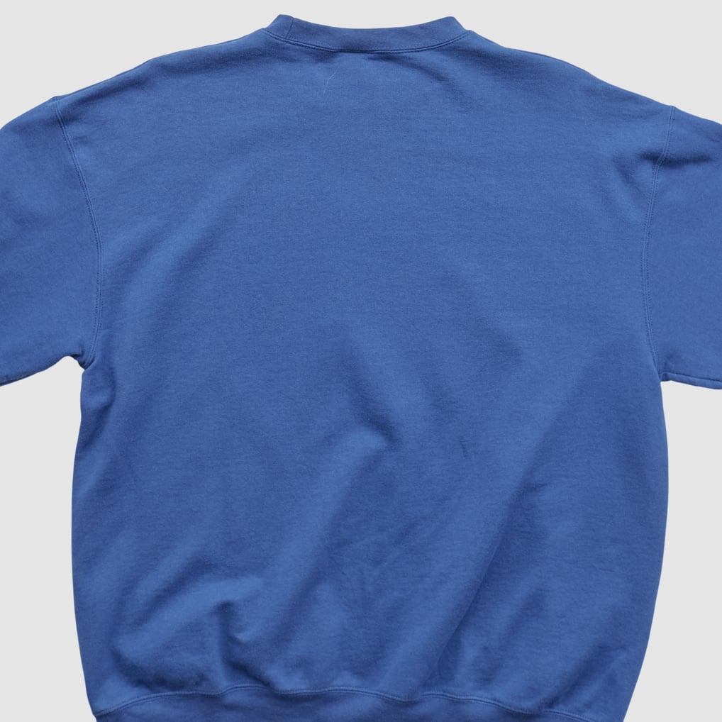 Central Connecticut State Blue Devils Champion 2000s Pullover Sweatshirt - Blue - M by Fanatics Real Vintage