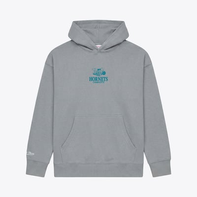 Charlotte Hornets Mitchell & Ness Core Fleece Hoodie - Gray
