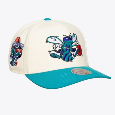Charlotte Hornets Mitchell & Ness Unisex Cream Team Pro Adjustable Hat - Cream
