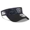 Visors