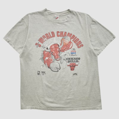Chicago Bulls Jerzees 1993 T-shirt - Heather Gray - M by Fanatics Real Vintage