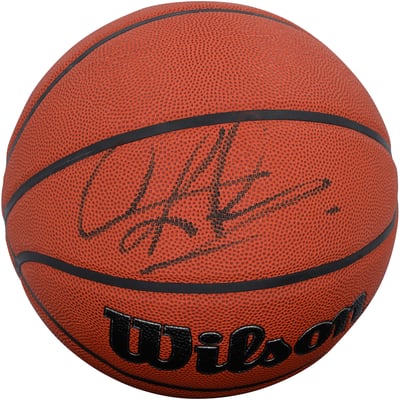 Dennis Rodman Chicago Bulls Autographed Fanatics Authentic Wilson Authentic Series Indoor/Outdoor Basketball - Black Ink