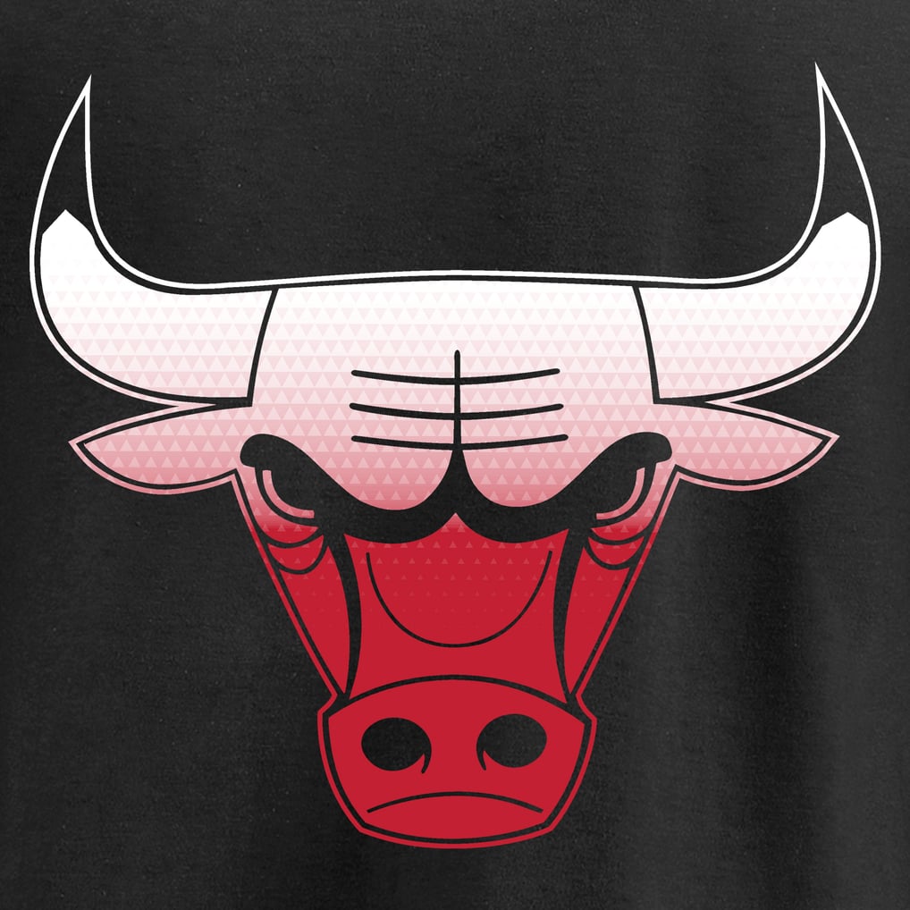 Men's Chicago Bulls Black Gradient Logo Pullover Hoodie