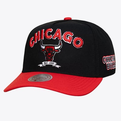 Chicago Bulls Mitchell & Ness True Legacy Pro Snapback Hat - Black