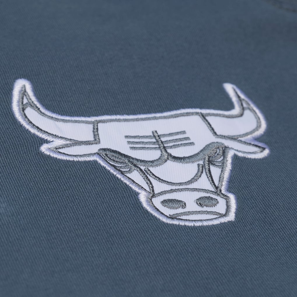  Chicago Bulls Mitchell & Ness Thunderstorm T-Shirt - Blue