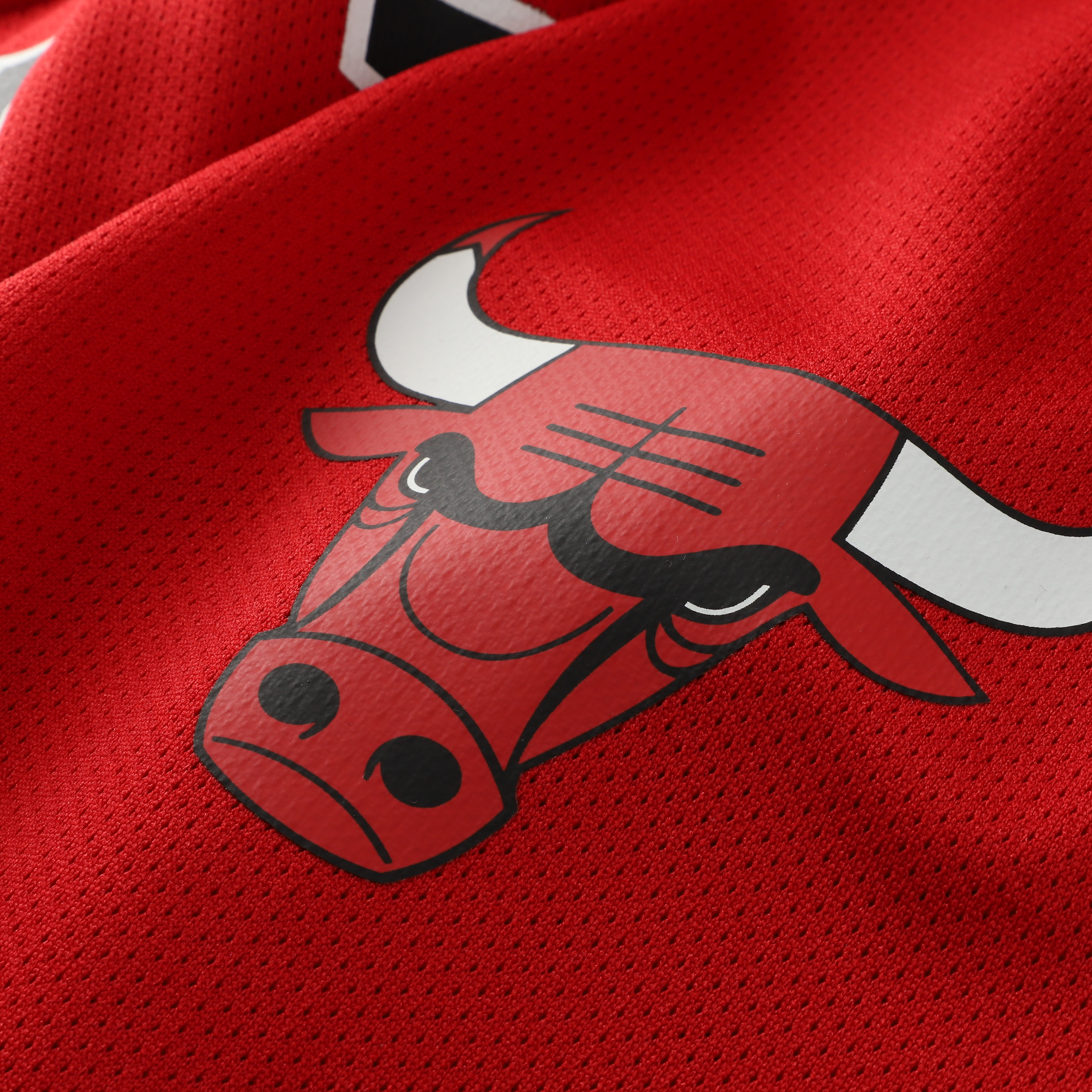 Dennis Rodman Chicago Bulls Mitchell & Ness Big & Tall NBA Hockey Jersey Red