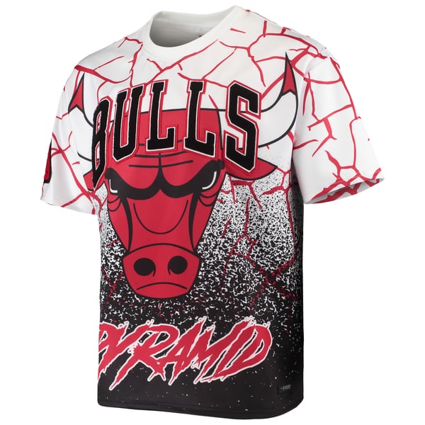 Chicago Bulls Pro Standard x Black Pyramid Sublimated T-Shirt - White