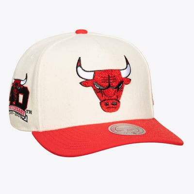 Chicago Bulls Mitchell & Ness Unisex Cream Team Pro Adjustable Hat - Cream
