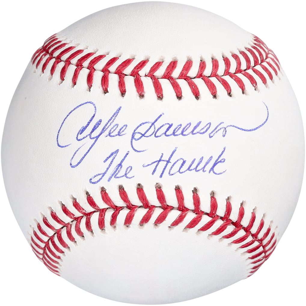 Andre Dawson Chicago Cubs Fanatics Authentic Autographed MLB Baseball with "The Hawk" Inscription
