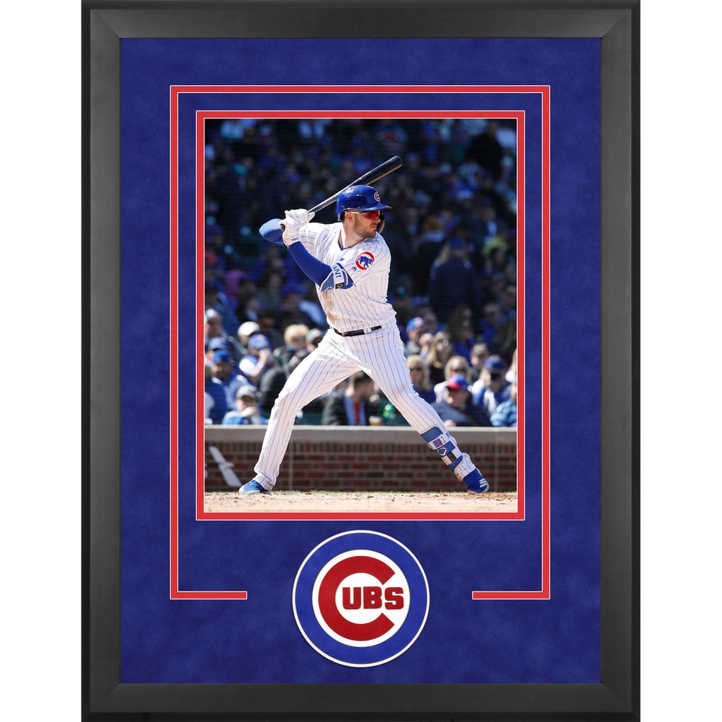 Chicago Cubs Fanatics Authentic 16" x 20" Deluxe Vertical Photograph Frame