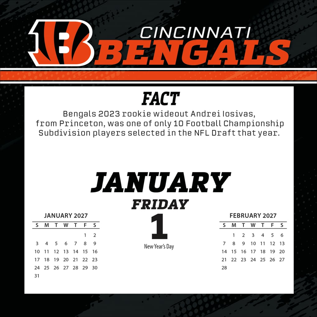Cincinnati Bengals 2027 Box Calendar