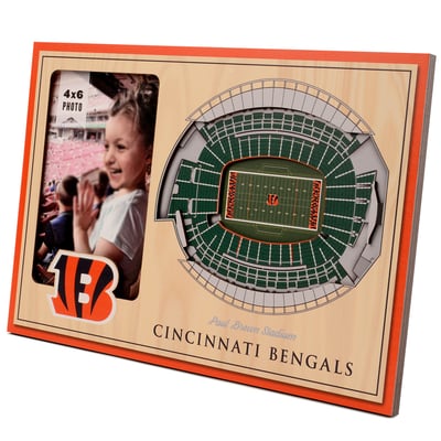 Cincinnati Bengals Fanpoint 3D StadiumView Picture Frame