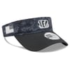 Visors