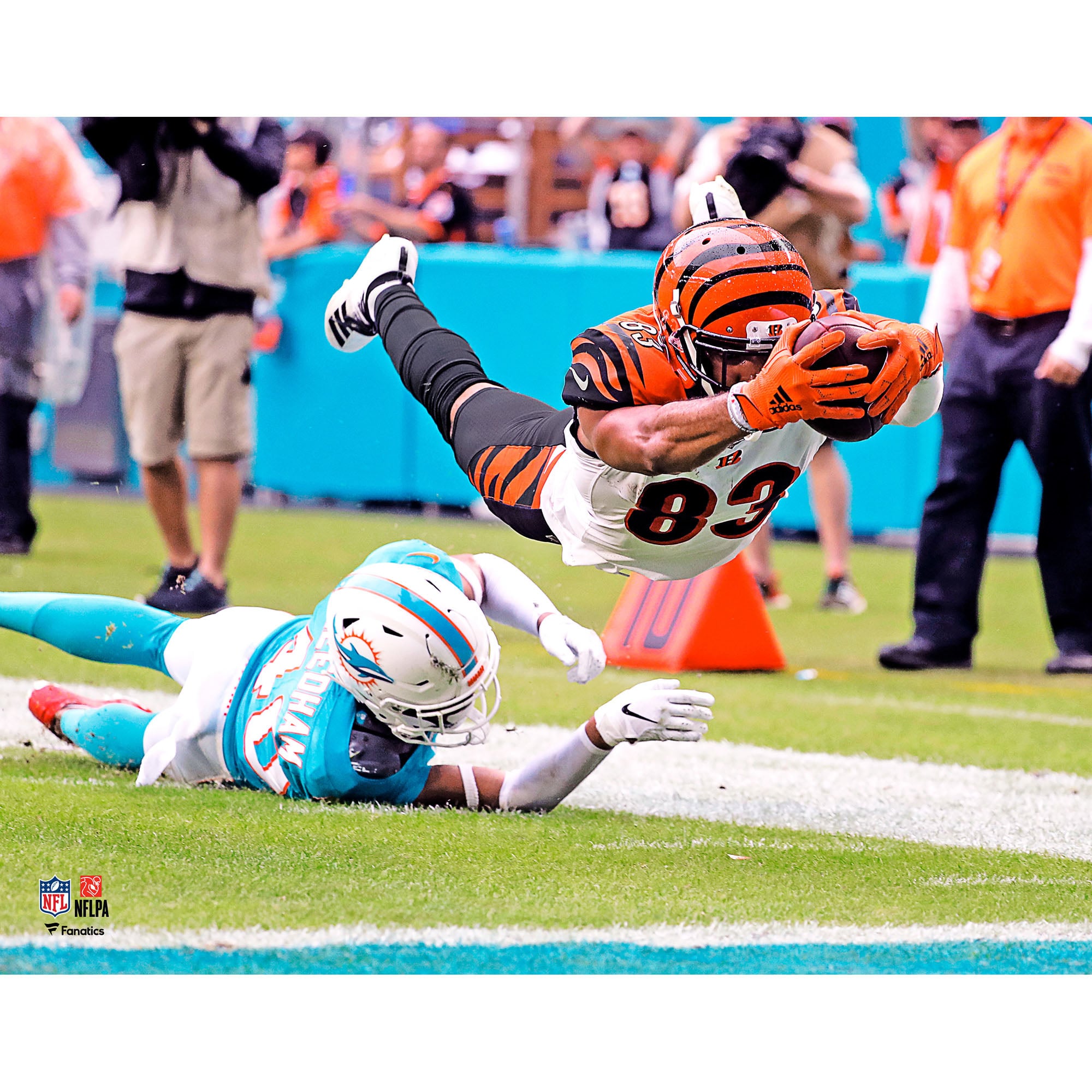 Touchdown Reach Football Touchdown Dive In