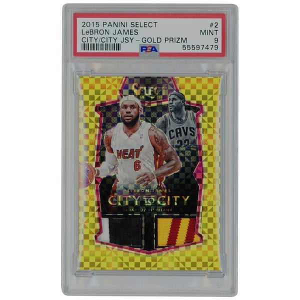 Miami Heat LeBron James 2015 Panini Select Gold Prizm Dual Relic 