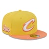 Snapbacks