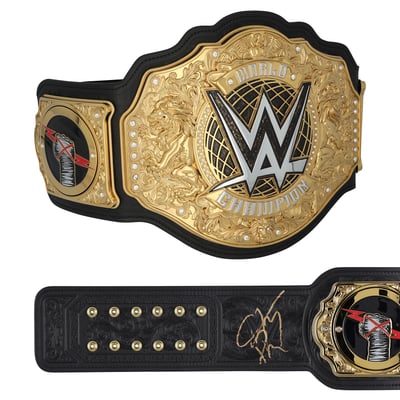 CM Punk WWE Autographed Fanatics Authentic World Heavyweight Championship Replica Title Belt with Talent Side Plates