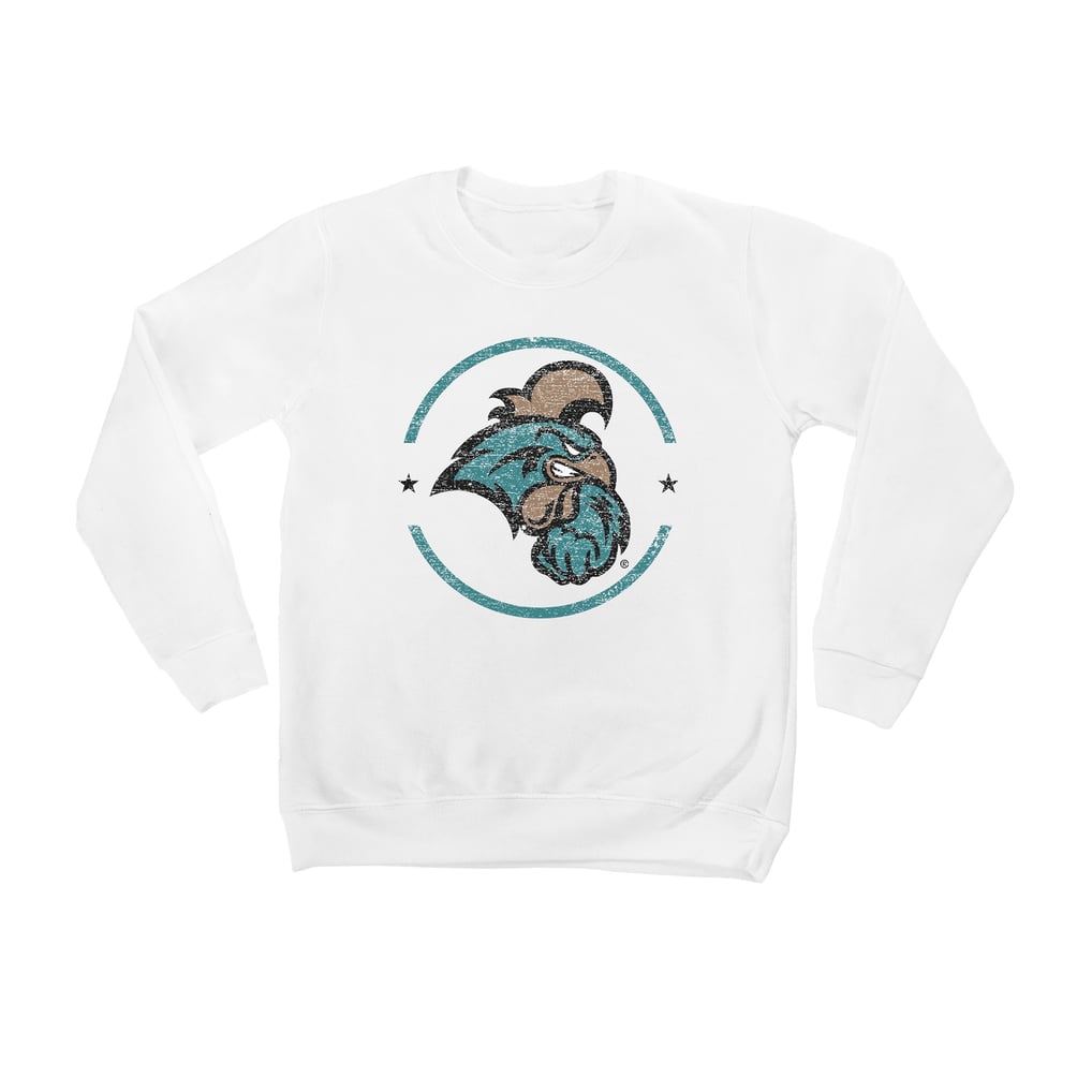 Coastal Carolina Chanticleers Youth End Zone Pullover Sweatshirt - White